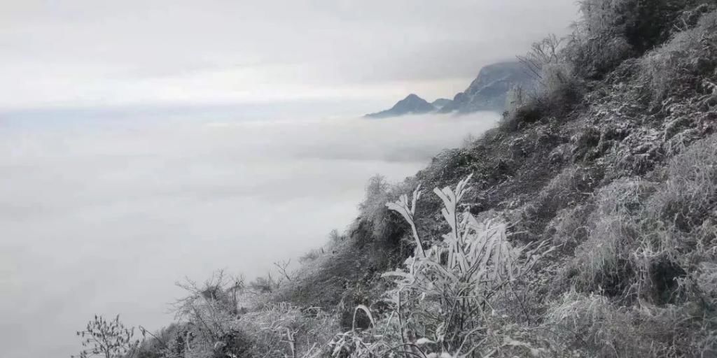 地方|汶川下雪了！这些地方，你最想去哪个？