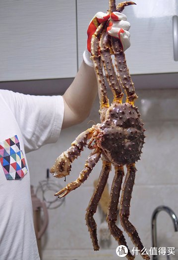 花几千块买烤箱真的值吗？