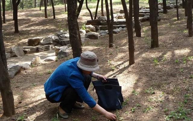 羊粪|这3种东西“人见人嫌”,邻居却捡来养花,盆里埋1点