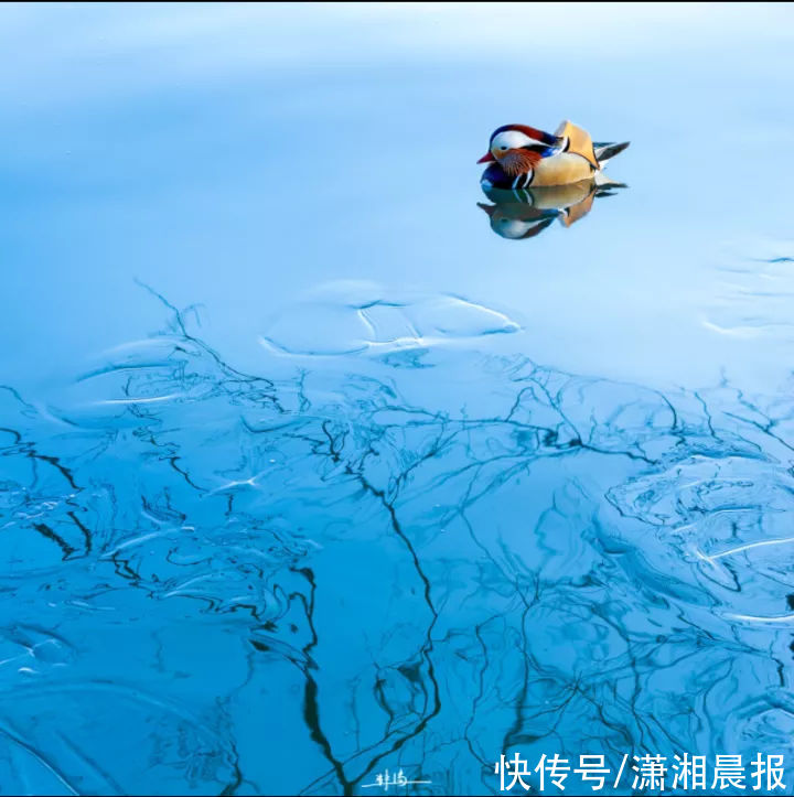 凌晨|早晨的西湖什么样？杭州建筑师凌晨三四点拍下绝美“诗画”大片