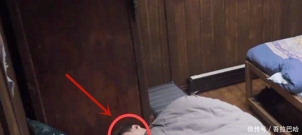 拖拉机|张艺兴退出向往录制,少了张艺兴与杨紫这对荧屏CP,观众会习惯吗