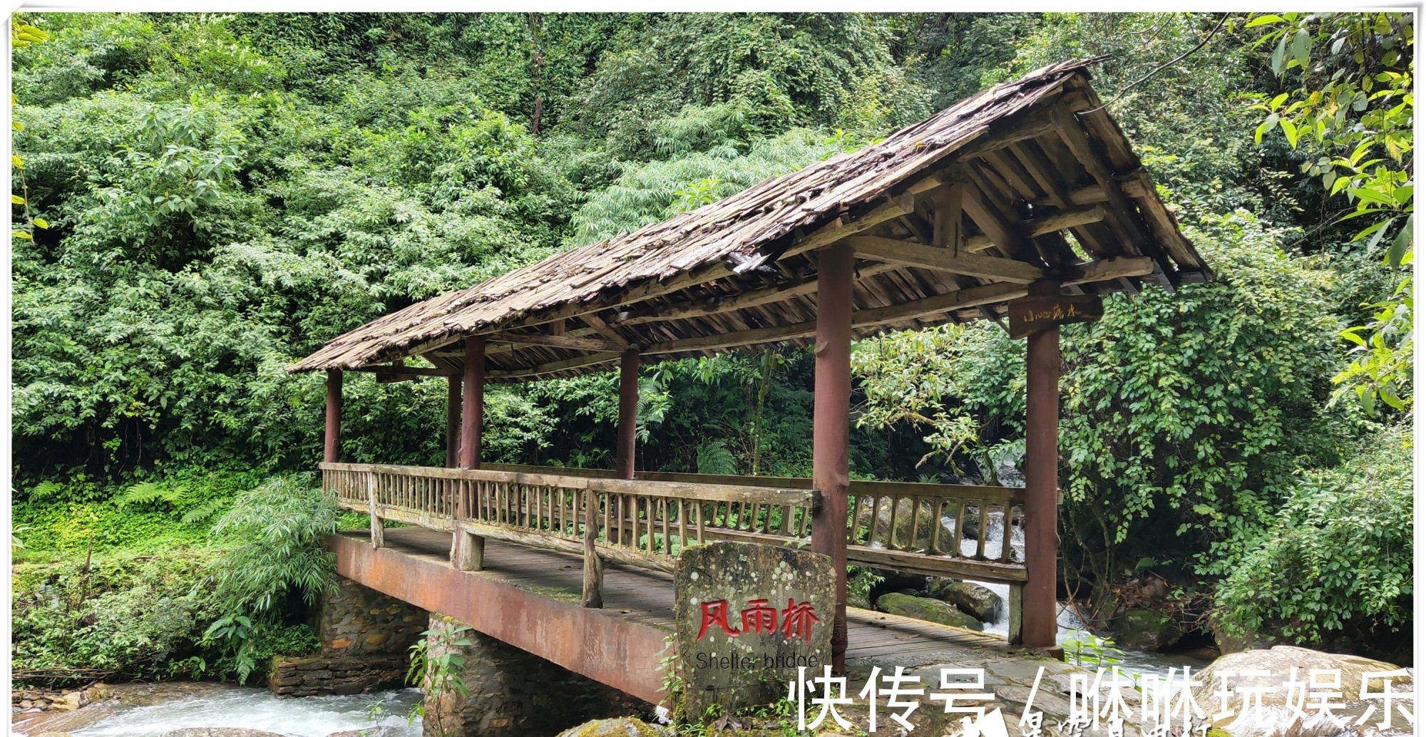 原始森林|自驾云南新平哀牢山，在雨中走茶马古道、体会马帮伙计的辛酸苦辣