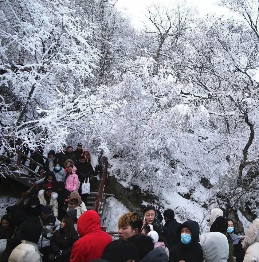 老君山|老君山：远赴人间惊鸿宴 央视这样报道