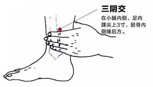 日常生活|为什么气血对女性来说很重要？日常生活中该怎样调养？