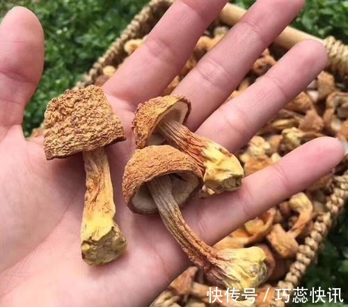 香椿|高血脂不能吃土豆?医生提醒:一旦血脂偏高,这3种素食也要忌口
