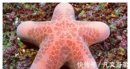 霍勒斯曼|看似并不科学,但却真实存在的23条奇葩冷知识