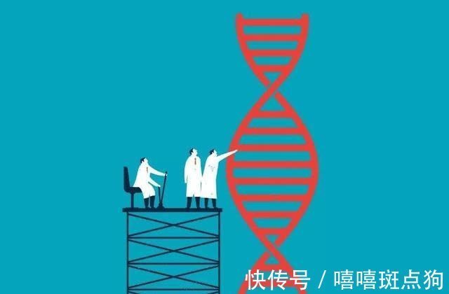 后天|夫妻谁的基因决定了孩子智商和相貌?结果令人出乎意料