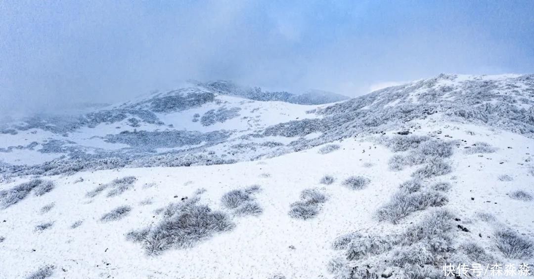 山下|十里风雪天涯路，秦岭雪乡留下吧，紫柏山下是我家