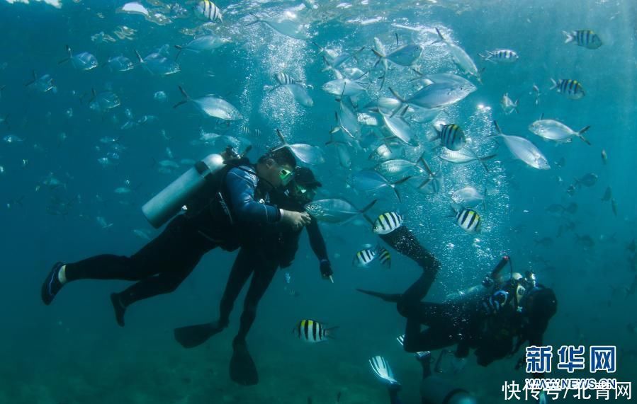 海南三亚：潜水享假期