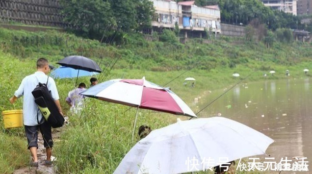 水草|秋分前后钓鱼，想爆护一点都不难，老钓手都爱这样钓，你也可以