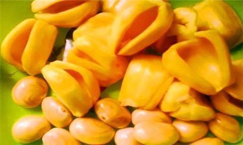 白兰瓜|秋天养生常吃的3种食物，清热排毒，平肝降压，谁吃谁受益