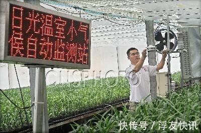 家里无论养啥花,提前做“3步”,以后虫子少、不烂根