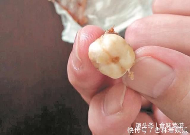 带鱼里吃出一节骨头,像牙齿一样,摸起来硬硬的,你知道原因吗