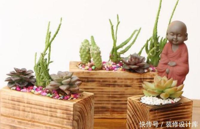 花卉|冰箱里的除臭木炭扔了太可惜,拿来种花,居然有这么多神奇的作用