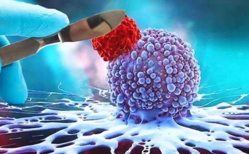 健康|长期喝茶的人与喝白开水的人相比，谁的血管更健康？现在知道还不晚