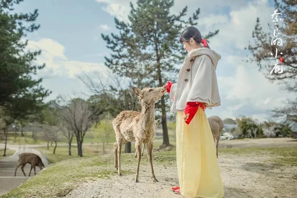  汉服|当小时：李子柒之后，她把中国汉服文化带向世界，惊艳世人