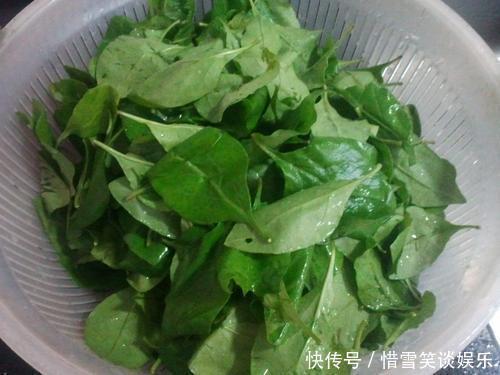 枸杞叶汤|“天然护肝王”被发现了，每周吃2次，相当于给肝脏“洗个澡”