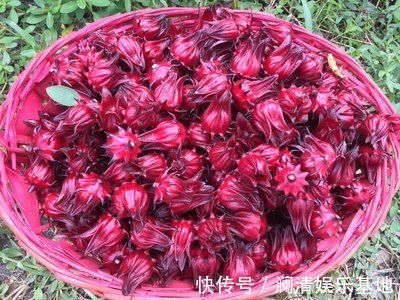 滋补|女性到了中年,要学会吃四种食物,补充营养,滋补身体