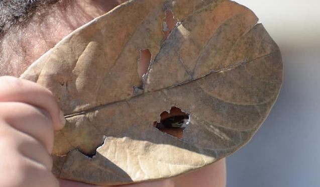 近视眼|学生近视眼如何“自然恢复”眼科医生坚持3件事，让视力更清晰