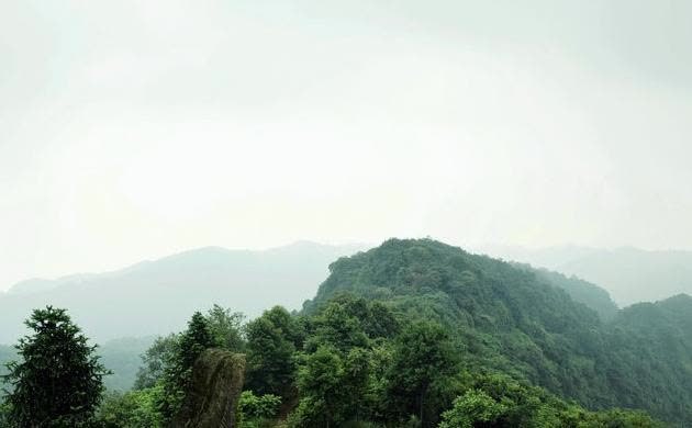 四川又一景点走红，有峨眉“姐妹山”之称，风景优美，门票仅40元