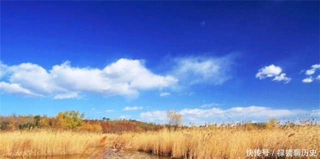  黄叶|苏轼的黄叶村和曹雪芹的黄叶村，有什么内在的联系？