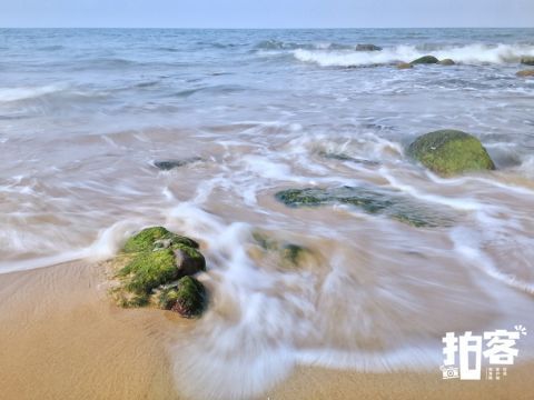 海口海湾有片“绿石滩”|拍客 |海口海湾有片“绿石滩”\＂,\＂i16\＂:\＂拍客