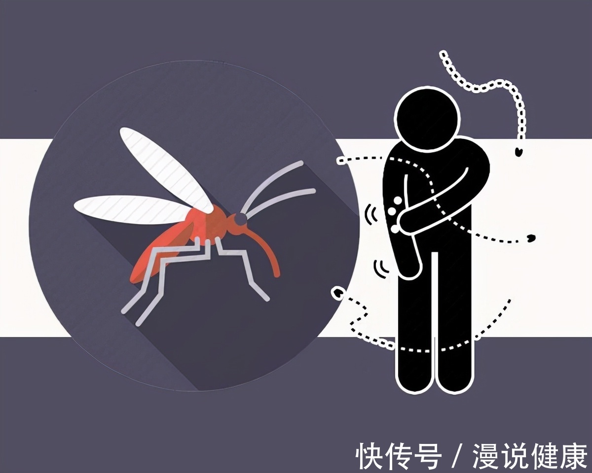 秋季|夏天已过,秋天的蚊子为何还猛如虎?做好4件事,安心过好秋