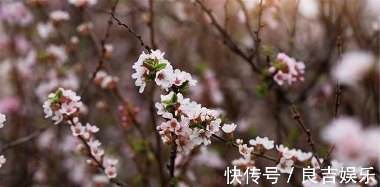 秋波媚!范成大不可不读的一首词,从开篇到结尾句句惊艳,值得我们一读!