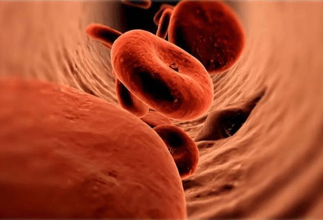 中医|81岁退休中医:血糖高莫慌张,2种维生素早晚吃,血糖或能稳稳降