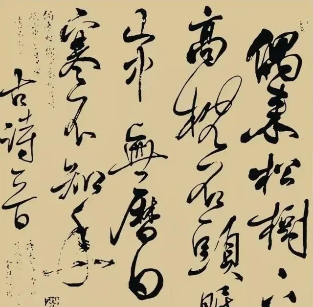 书法@女博士方淩波的书法不赖,楷书“褚风晋韵”,草书苍劲,隶书工稳