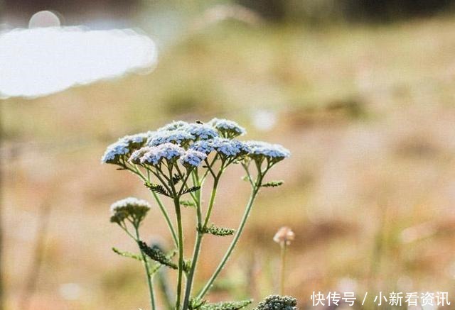 岁月|岁月匆匆又是一年,感恩有你