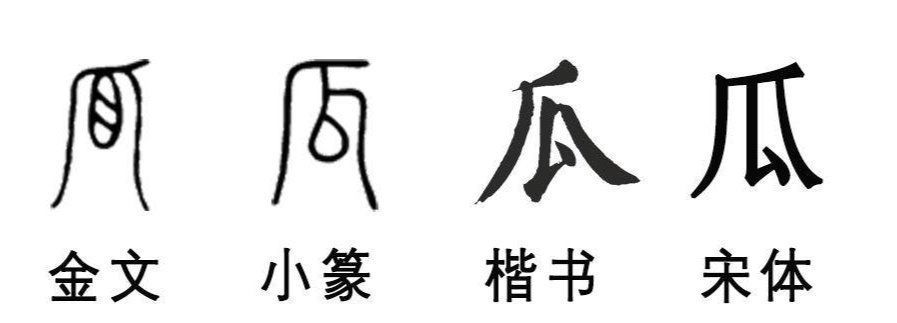 “瓜、人、举”这些字经历了什么？|汉字小时候 | 经历