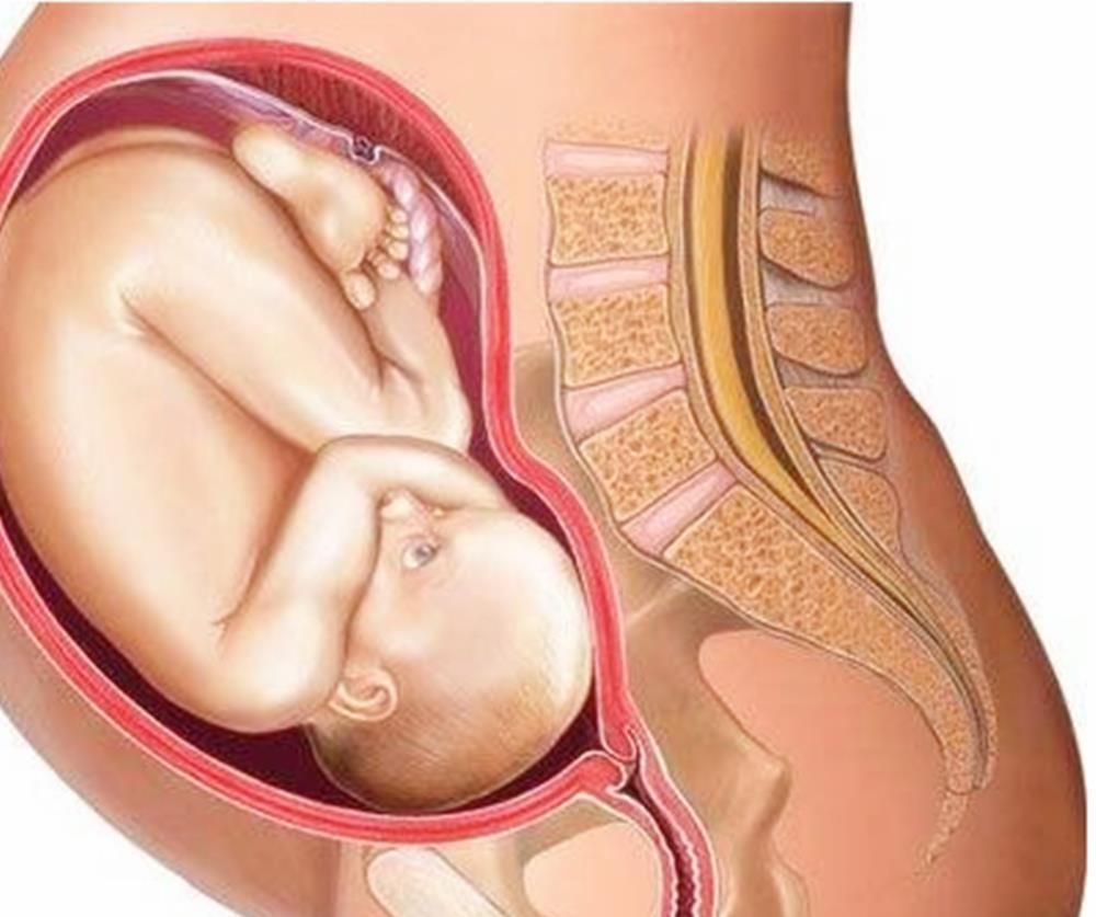 宝妈|同样是剖腹产,为何有的产妇术后要“压肚子”,有的人则不用?