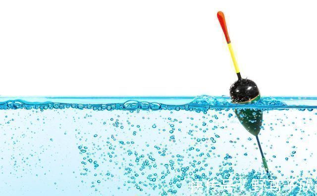 钓位|新手为何经常钓不到鱼我以个人观点为你解惑