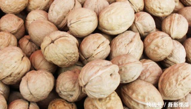 父母|这些零食,多让孩子吃会促进脑部发育,父母可别舍不得