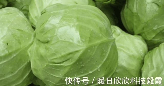点心|这三种包菜千万不要买,白送都不吃,后悔才知道,看完长点心