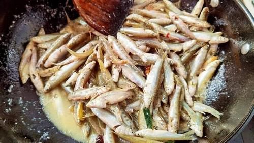 3年才长9厘米，常被误认是小杂鱼，其实营养极高，红烧一锅真鲜美