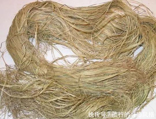 用途|农村全身是“宝”的野草，曾经被用来喂猪，殊不知价值珍贵用途多