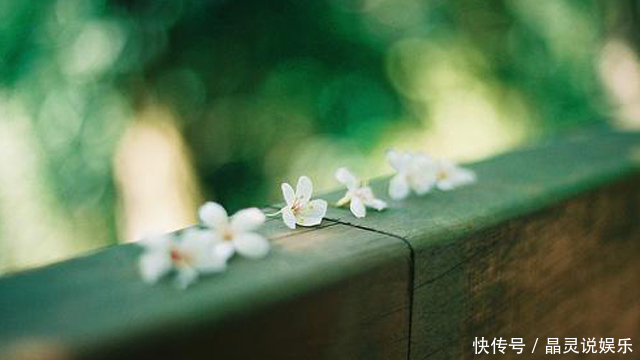 想换个活法吗那就潇洒地走出去!