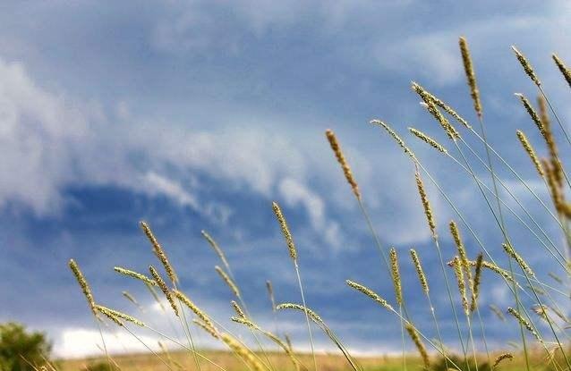 提到|《应物兄》中提到的《苏丽珂》竟是斯大林最喜欢的歌,有何深意