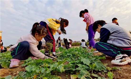 少先队员|“请党放心 强国有我 ”汶泉学校红领巾田园教育活动侧记