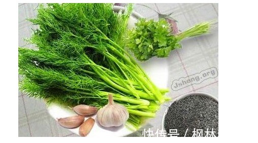 抗菌|“皇帝菜”功效奇高,抗菌抗衰老、预防癌症,可惜没好多人喜欢