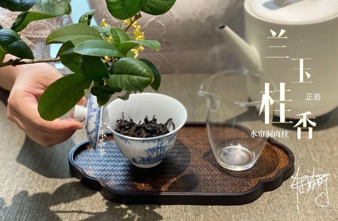 学术讨论|武夷岩茶还魂汤的学术讨论,专家不喝,茶客必留,这是为什么呢