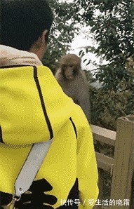 |搞笑GIF：兄弟，你不要着急回家，现在还没到下班时间