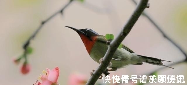 劝君莫!爱管闲事的白居易一怒写下这首诗,最后一句至今仍常被贴在公园里