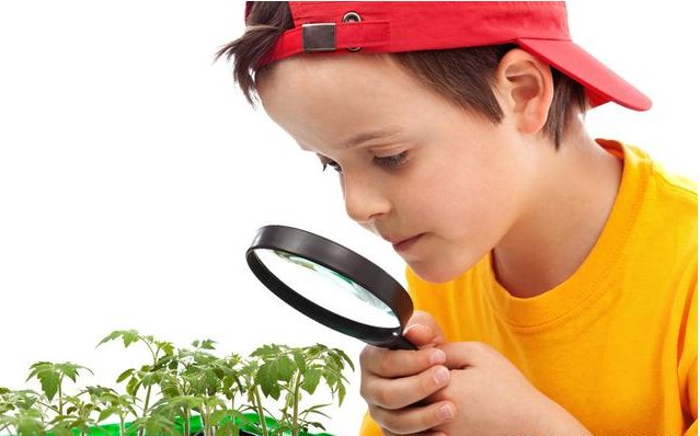 孩子|培养孩子的观察力借用小游戏简单有效