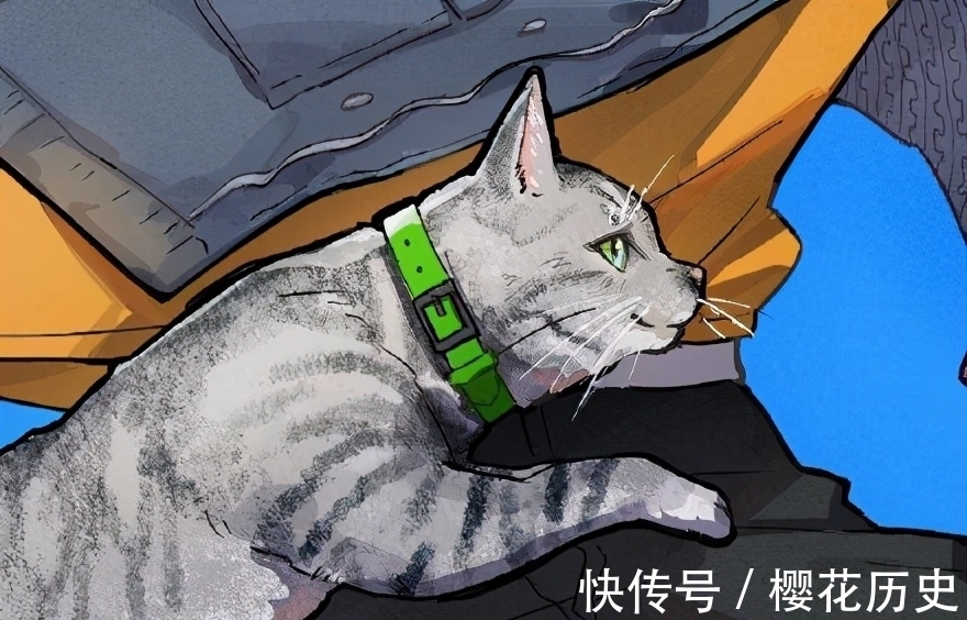 鬼灭之刃|《鬼灭》联动猫咪主题,花江夏树的猫也有出境?谁的猫咪更可爱?