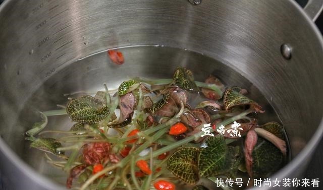 金线|一斤上千上万的金线莲你吃过吗,用于煮肉,味道香醇口感特好