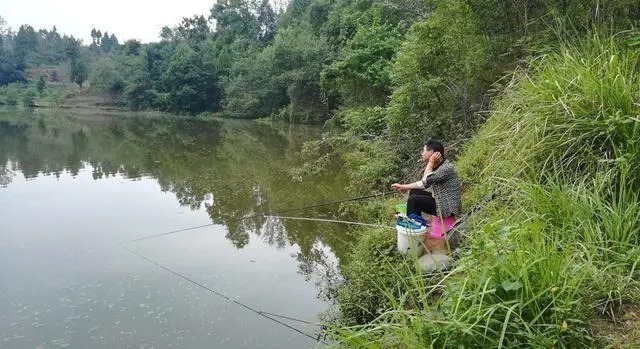流速|入秋之后,选这几个地方下杆,大鲤大草疯狂钓不完!
