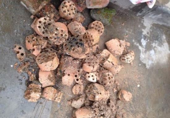 养花土还得花钱买省省吧,4样“废料”掺和一起,养啥旺啥